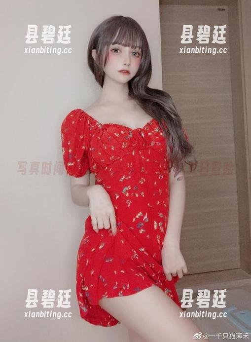 写真时间，超级小禾儿带您开启夏日冒险